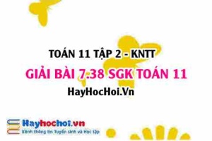 Bài 7.38 SGK Toán 11 Tập 2 Kết nối tri thức